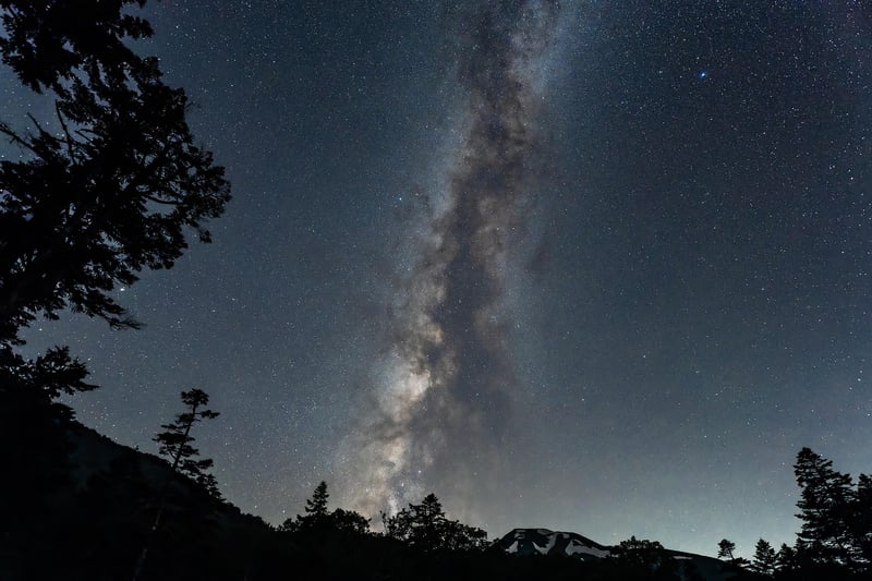 Extraterrestrial Life